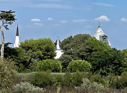 Le clocher d’Ars-en-Ré et les moulins entre les pins