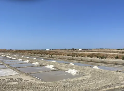 Les marais salants de Loix