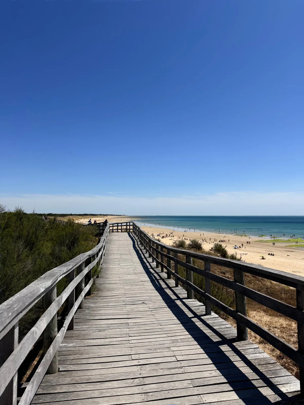 Passerelle en bois menant à la plage du Bois-Plage-en-Ré