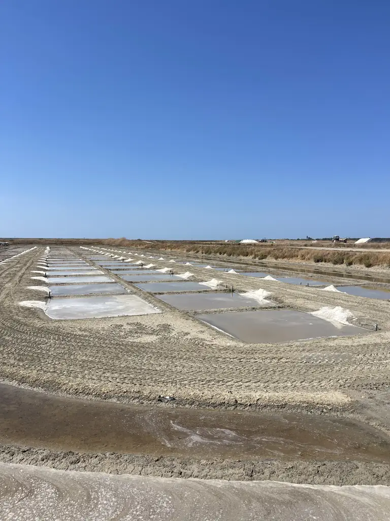 Les marais salants de Loix et les tas de sel