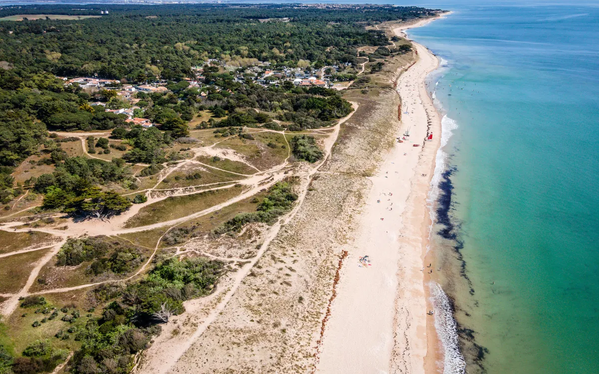 La plage de Gros Jonc au Bois-Plage-en-Ré vue du ciel, forêt et dunes