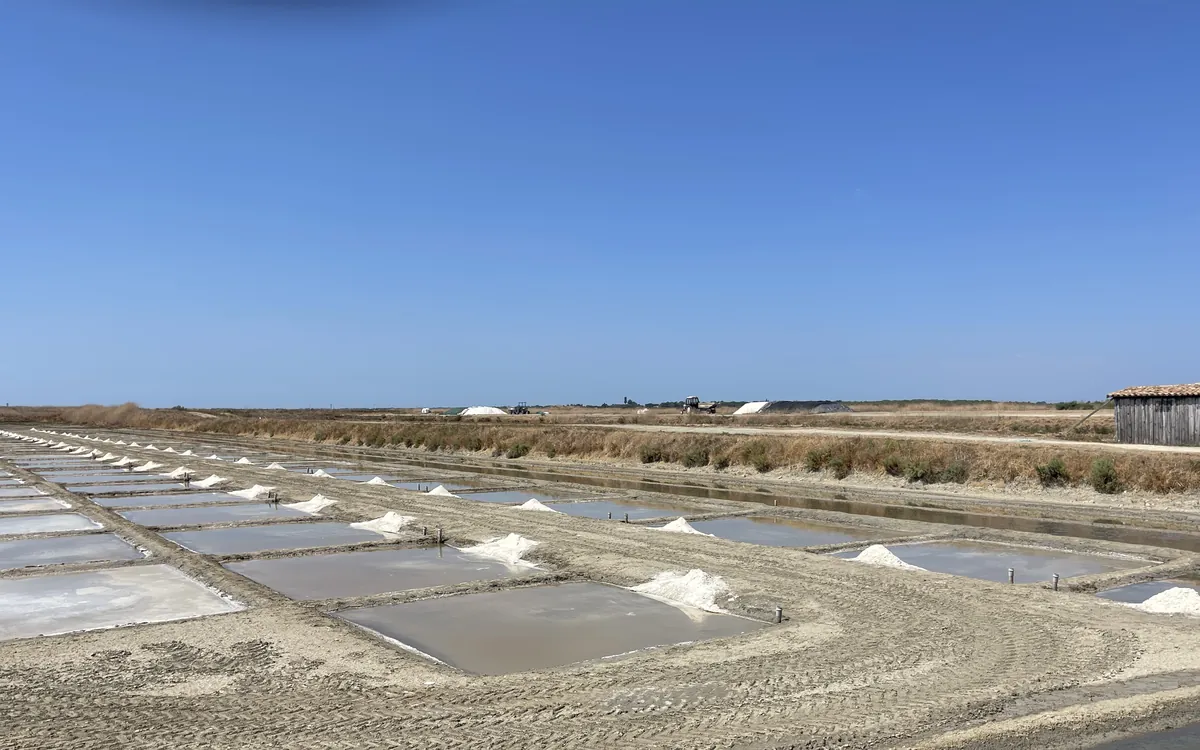 Les marais salants de Loix