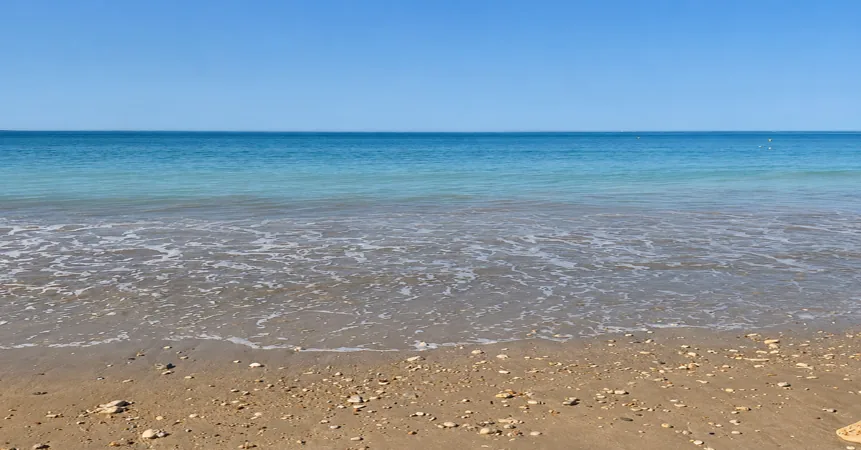 Plage de l'Île de Ré à marée basse