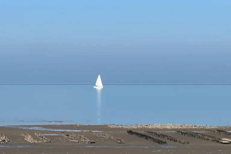Voilier au large des parcs à huîtres de La Flotte à marée basse